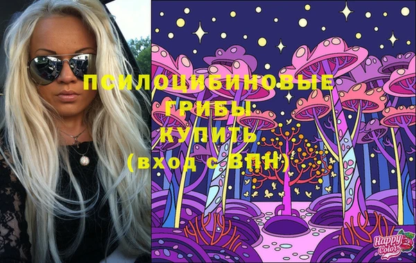 бошки Алексин