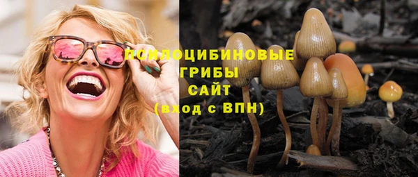 прущая мука Алзамай