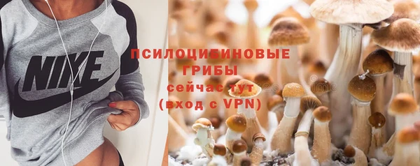 бошки Алексин