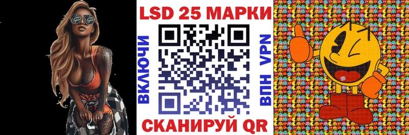 дарнет шоп  Пролетарск  Марки N-bome 1,8мг 