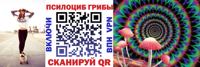 Галлюциногенные грибы Psilocybine cubensis  MEGA tor  Пролетарск 